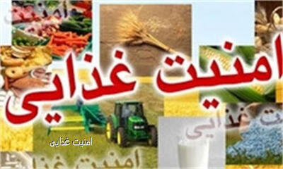  راستی‌آزمایی یک ادعا / وزیر جهادکشاورزی: ایران جزء ۵ کشور برتر در امنیت غذایی است / جایگاه جهانی ایران در شاخص گرسنگی کجاست؟