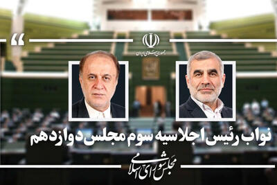  نیکزاد و حاجی بابایی نایب رئیس مجلس باقی ماندند