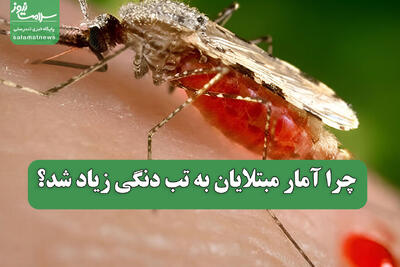  چرا آمار مبتلایان به تب دنگی زیاد شد؟