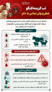  تب کریمه کنگو؛ خطر پنهان تماس با دام