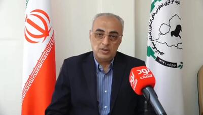  حذف ارز ترجیحی، هزینه تولید دام سبک را ۵ برابر کرد