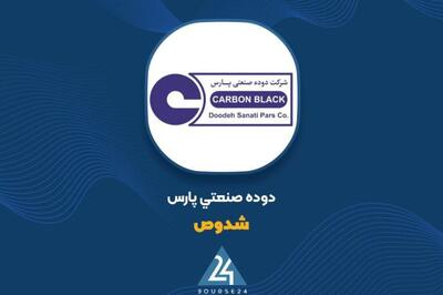  رشد 12 درصدی فروش «شدوص»