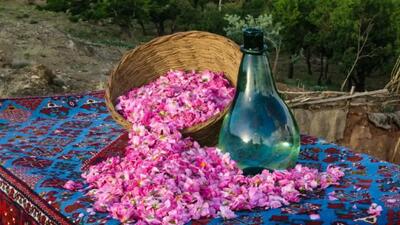  آشنایی با مراسم و زمان گلاب گیری کاشان