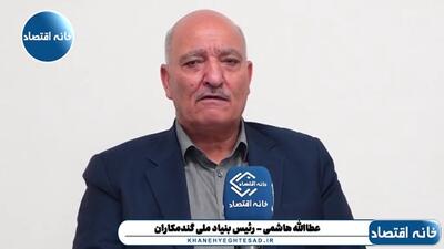  الان وقت اهمال در دادن پول گندمکاران نیست
