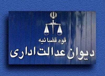  توقف تشکیل ستاد ویژه فضای مجازی توسط دیوان عدالت