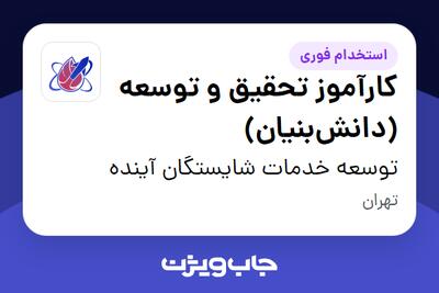  استخدام کارآموز تحقیق و توسعه (دانش‌بنیان) در توسعه خدمات شایستگان آینده