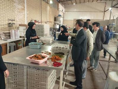 دادستان بروجرد از کارخانه صنایع غذایی نارین بازدید کرد
