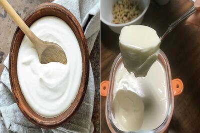  درست کردن ماست سفت و کش دار با شیر؛ با این دستور از ماستای شرکتی هم بهتر میشه
