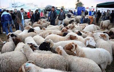  آیا می‌توان به جای قربانی کردن، پول آن را به نیازمندان داد؟