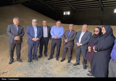  18 هزار تن گندم در کهگیلویه و بویراحمد خریداری شد - تسنیم