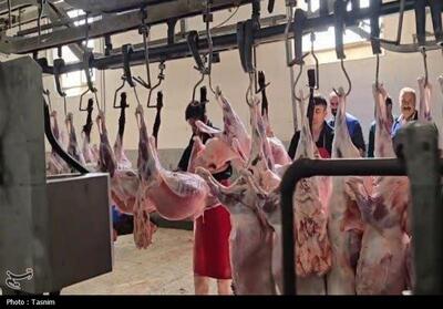  آغاز عرضه و ذبح بهداشتی عید قربان از ساعت 6 صبح فردا
