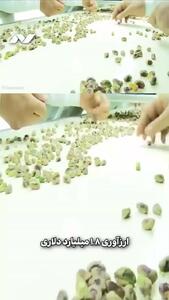  بازگشت طلای سبز ایران به بازار اروپا / قاره سبز دوباره تسلیم طعم پسته ایرانی شد