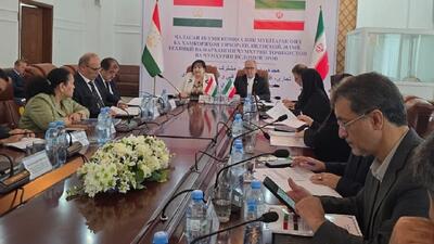  ایران مهم‌ترین شریک تاجیکستان در منطقه/ ارتقای روابط با جدیت دنبال می‌شود