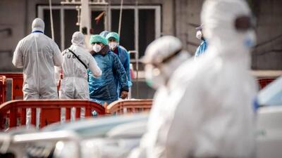  تعداد کل مبتلایان به هانتاویروس مشخص شد