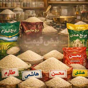  هشدار به خریداران؛ قیمت برنج هندی و ایرانی ۷ خرداد ۱۴۰۵ اعلام شد / کیسه ۱۰ کیلویی برنج باسماتی ۳ میلیون و ۷۰۰ هزار تومانی؛ آیا فردا جمعه ۸ خرداد بازار می‌شکند؟ (پنجشنبه ۷ خرداد ۱۴۰۵ + پیش‌بینی فردا)