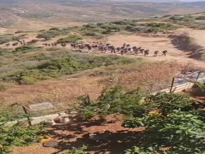  یورش شهرک‌نشینان صهیونیست به روستای عموریا در جنوب نابلس