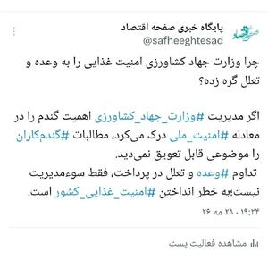  چرا وزارت جهاد کشاورزی امنیت غذایی را به وعده و تعلل گره زده؟