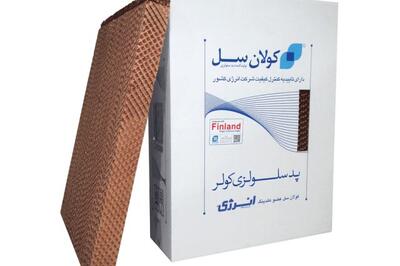  کنفرانس خبری کولان سل برگزار شد