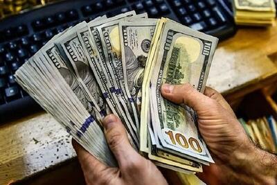  انتقال یارانه ارزی به مصرف کننده، سیاست درست دولت بود