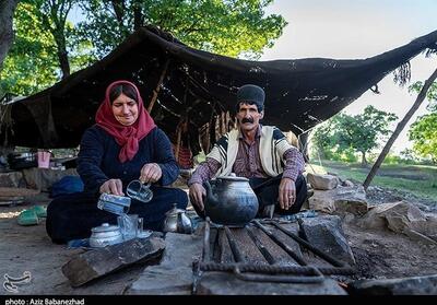  کوچ عشایر لرستان آغاز شد - تسنیم