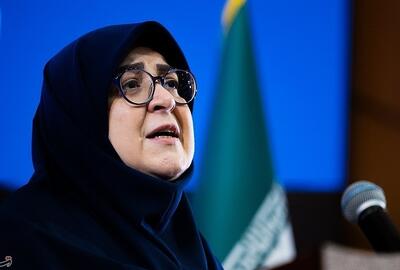  سخنگوی دولت: دولت پزشکیان پای کار حل مسائل کشور و بهبود زندگی مردم است