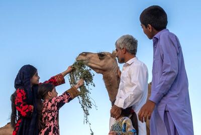  تصاویر؛ سیستان و بلوچستان سرزمین باد و دریا