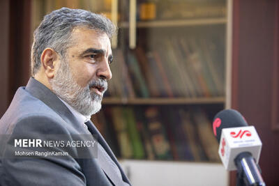  هدف‌گذاری برای تامین برق کشور از انرژی هسته‌ای