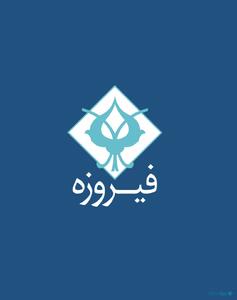  امیدنامه گروه مالی فیروزه منتشر شد - پیوست