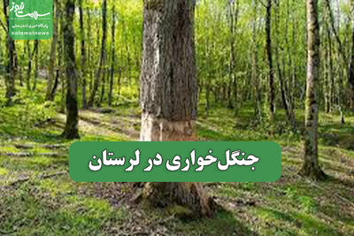  جنگل‌خواری در لرستان
