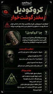  کروکودیل؛ مخدر گوشت‌خوار