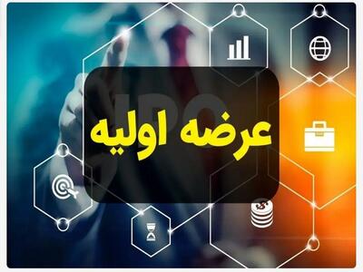  دومین عرضه اولیه فرابورس در سال جدید