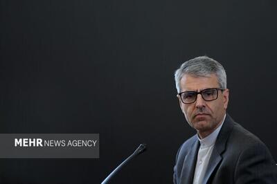 حمله پلیس هلند به همسر باردار مرد فلسطینی، نقض فاحش حقوق بشر است