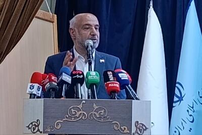  میدری: برندسازی حلقه مفقوده تولیدات خانگی است