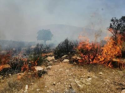  آتش‌سوزی در مزارع روستای «چارمه» شهرستان کهگیلویه خاموش شد (۱۱ خرداد ۱۴۰۵)