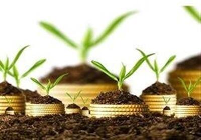  جهش بیمه کشاورزی در آذربایجان شرقی؛ پوشش اراضی زراعی 600هزار هکتار شد - تسنیم