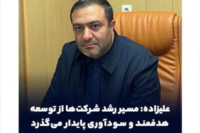  علیزاده: مسیر رشد شرکت‌ها از توسعه هدفمند و سودآوری پایدار می‌گذرد