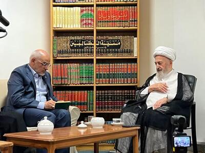  آیت‌الله سبحانی: باید هم اهل دفاع باشیم و هم اهل مذاکره/ بستگی دارد که طرف مقابل چگونه با ما برخورد کند