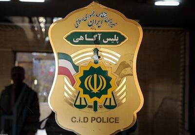  پلیس: ما دیگر در فضای سنتی کار نمی‌کنیم/ می‌دانیم کجا، کی و چگونه جرم رخ می‌دهد/دستگیری ۲۵۹ نفر در ۳ روز