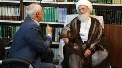  تشکر آیت الله نوری همدانی از دولت - مردم سالاری آنلاین