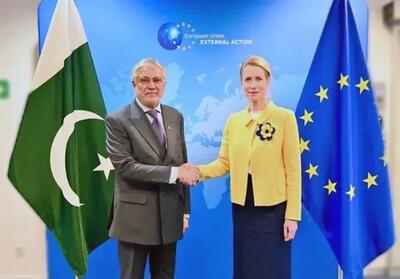  بیانیه پاکستان و اروپا: خاک افغانستان نباید منشأ تهدید باشد - تسنیم