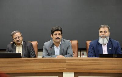  آموزش مجازی صنایع دستی برای نخستین بار در کشور - تسنیم