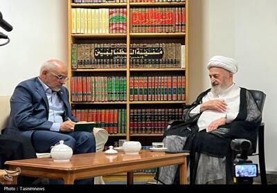  آیت‌الله سبحانی: وحدت مهم‌ترین زمینه دستیابی به موفقیت‌های بزرگ است - تسنیم