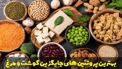  بهترین پروتئین های جایگزین گوشت و مرغ چه موادی هستند؟