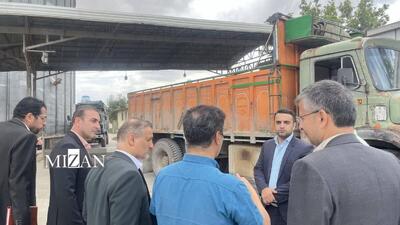  نظارت قضایی بر خرید تضمینی گندم در آق‌قلا؛ حمایت از حقوق کشاورزان در فصل برداشت