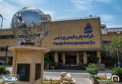   سهامدار حقوقی‌ از پتروشیمی پردیس چه می‌دانند که بازار نمی‌داند؟  | نفت ما