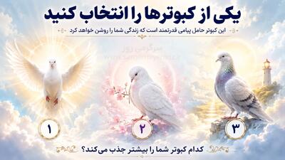  با انتخاب یک کبوتر بفهمید چه چیزهایی سکوت شمارو می شکند!