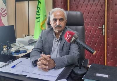  خرید 44 هزار تن برگ سبز چای/ 72 درصد مطالبات پرداخت شد - تسنیم