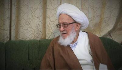  آیت الله اسحاق فیاض از مراجع نجف امروز درگذشت