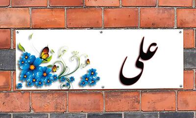  نام «علی» در کدام کشورها بیشترین طرفدار را دارد؟
