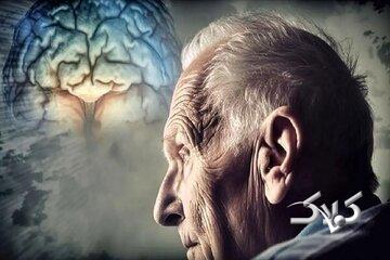  هشدار! مصرف این خوراکی مشکلات حافظه را بیشتر می‌کند - مجله اینترنتی کولاک